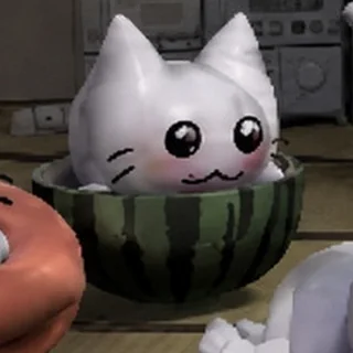 in a watermelon